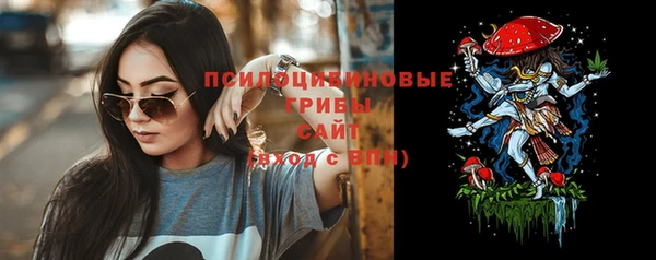 прущие крисы Белокуриха