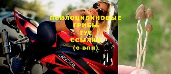 PSILOCYBIN Белоозёрский