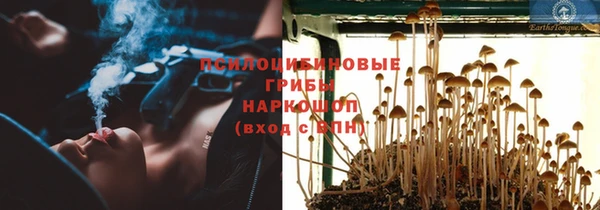 прущие крисы Белокуриха