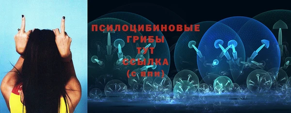прущие крисы Белокуриха