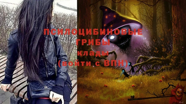 PSILOCYBIN Белоозёрский