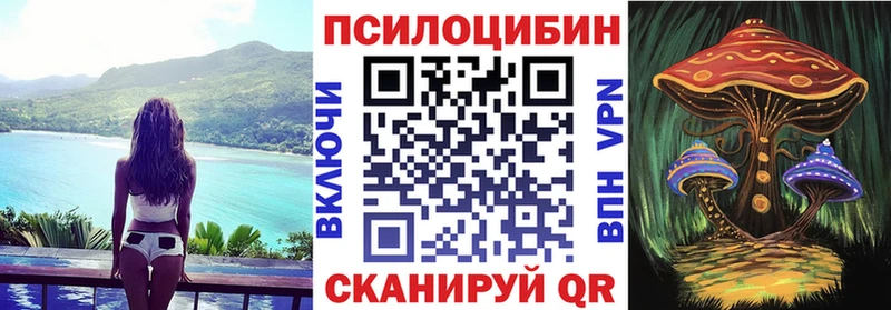 Псилоцибиновые грибы Psilocybine cubensis  Волосово 